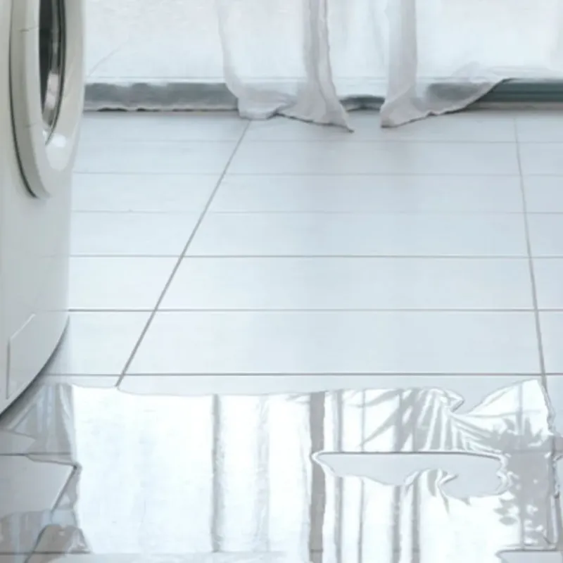 Appliance Leak Cleanup in Lemmon Valley, NV
